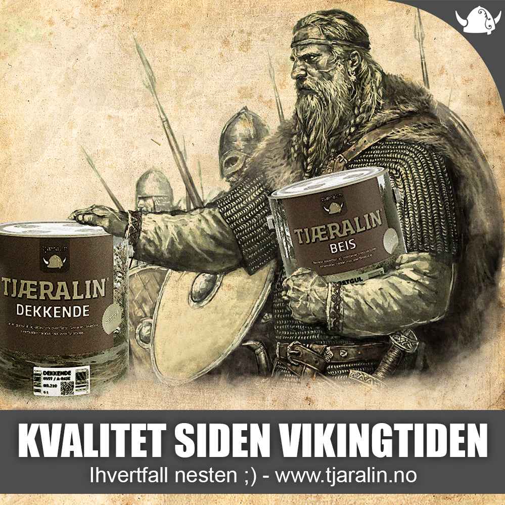 20-06-2018_FBann_viking.jpg